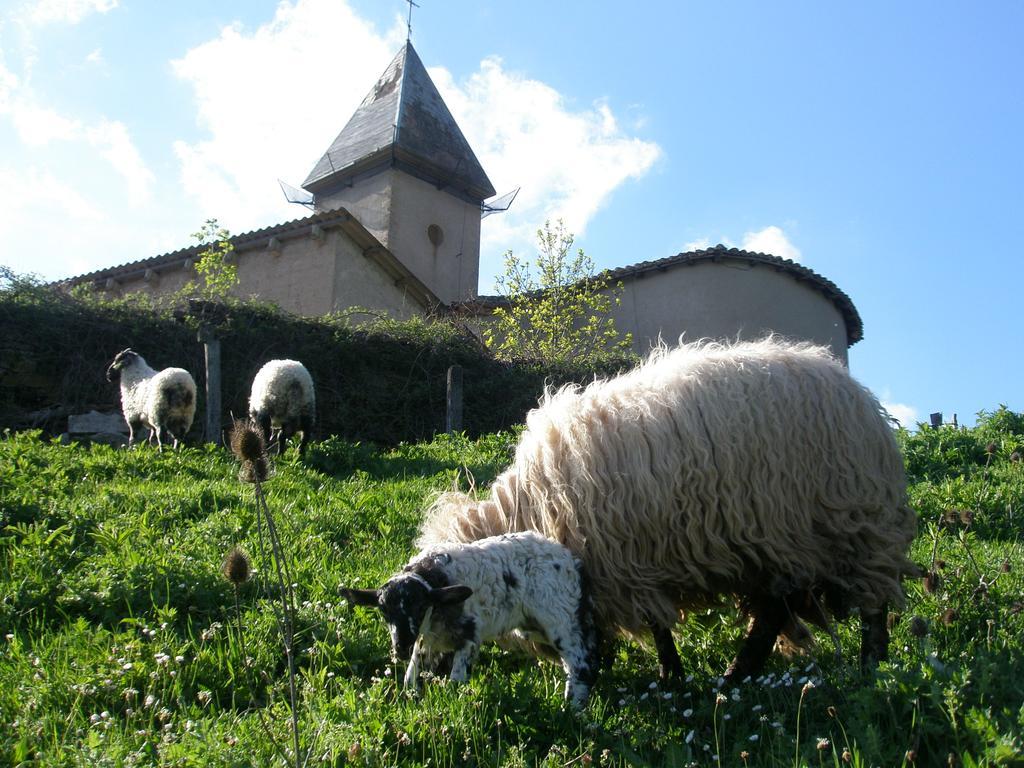 Casa Rural Parriola Villanueva de Arce Esterno foto